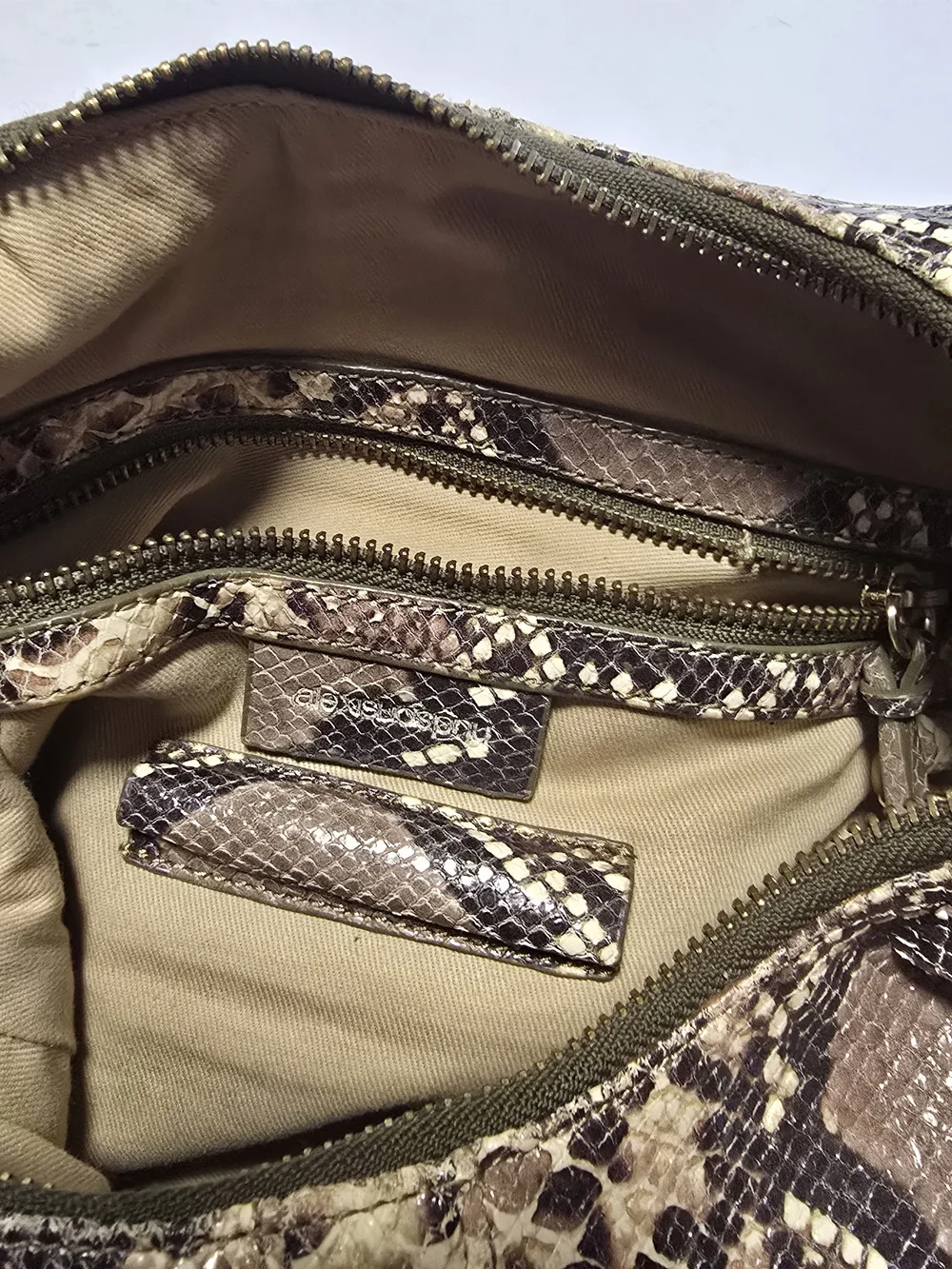 Alexis Hudson stylish snake